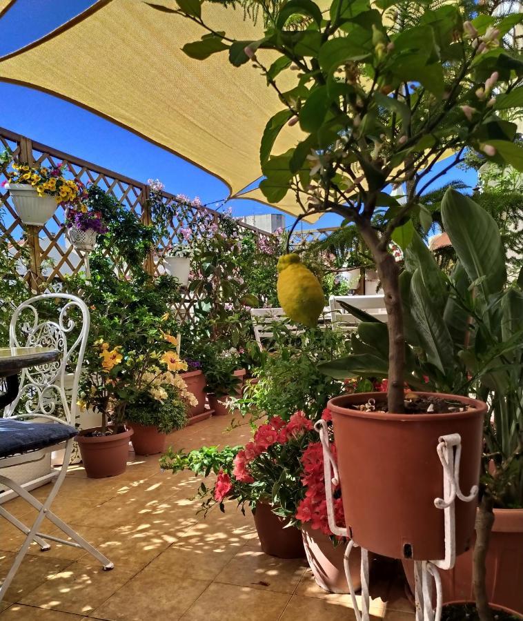 Alghero Roof Garden Luaran gambar